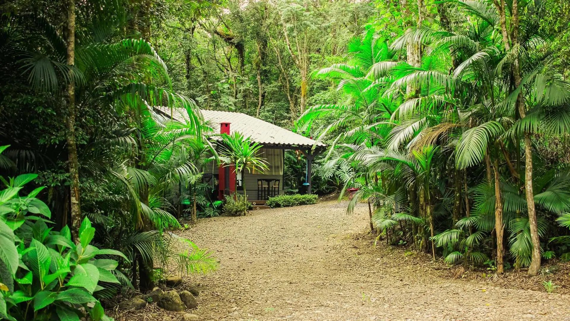 Vila Aconchego Dos Passaros Timbe do Sul Chata